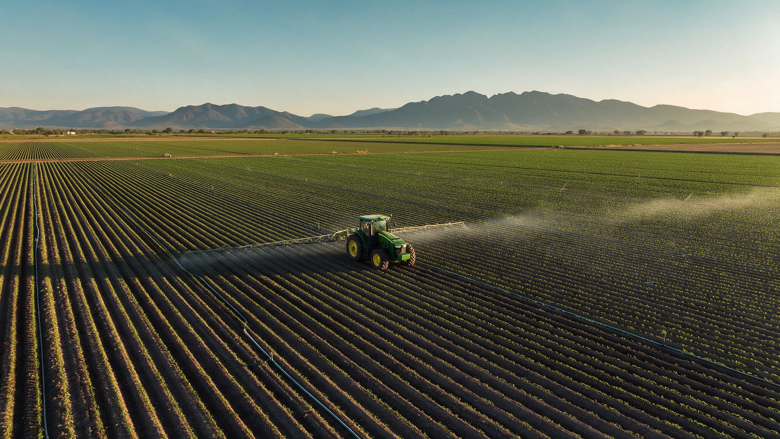 Campo y agroindustria